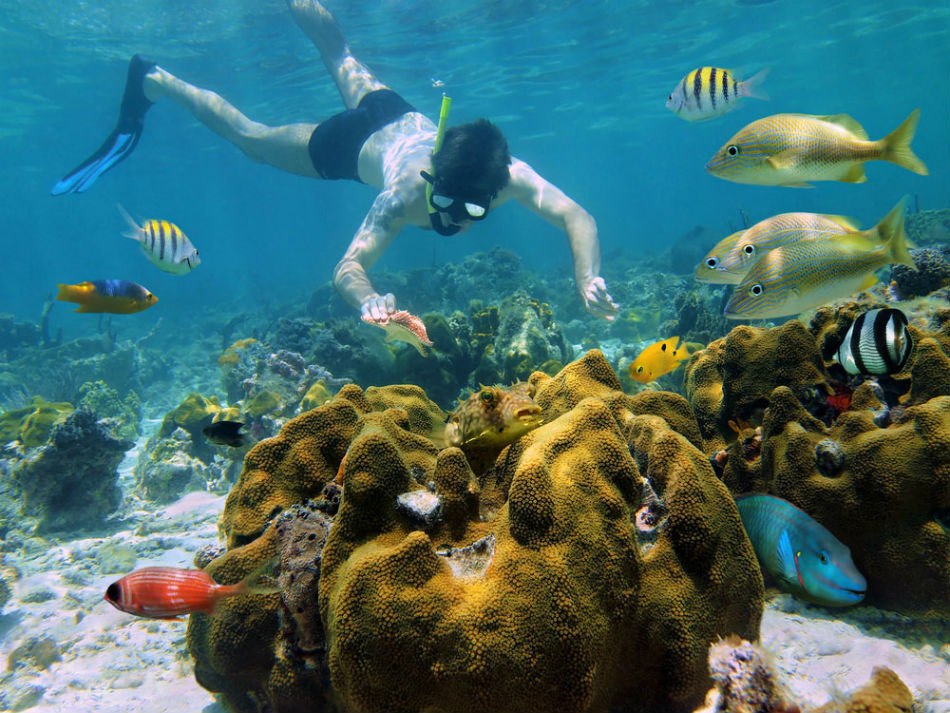 Nota sobre Los arrecifes de Playa del Carmen