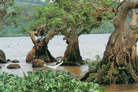 Nota sobre Lago de Catemaco