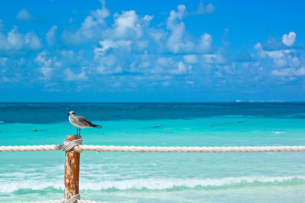 Nota sobre Mar turquesa en Riviera Maya