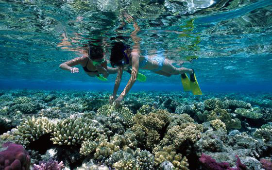 Nota sobre Palomita ecológica: Playa Camarones con Blue Flag