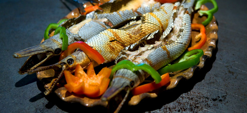 Nota sobre Tabasco, paraíso culinario maya