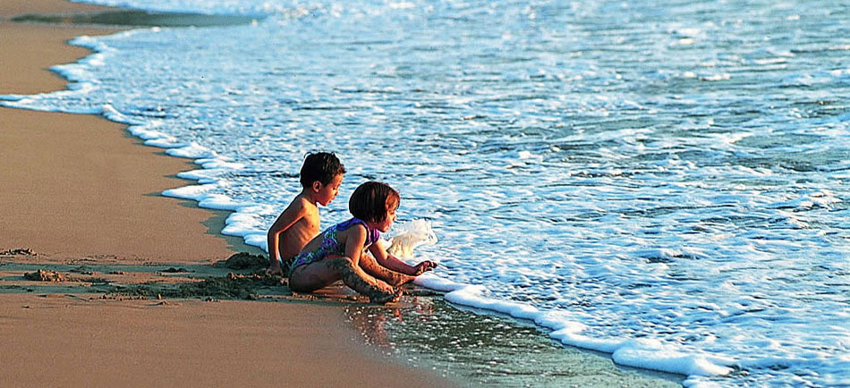 Nota sobre Descubre tu playa perfecta en Oaxaca