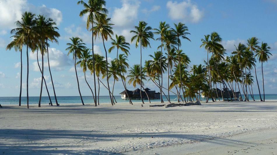 Nota sobre ¿Qué no debes hacer en una isla paradisíaca?