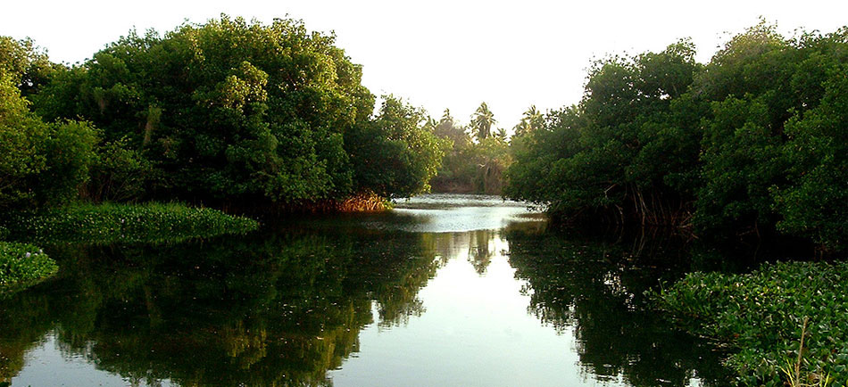 Nota sobre Vive un atardecer en Laguna de Coyuca