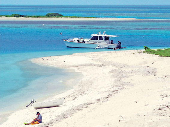 Imagen de Arrecife Alacranes