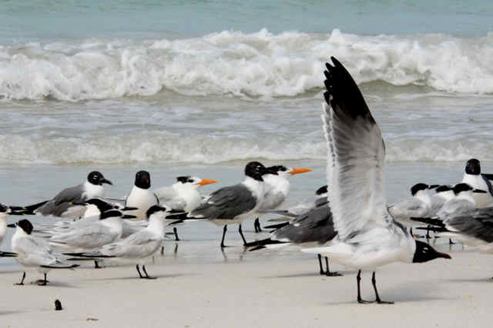 Imagen de Las Coloradas