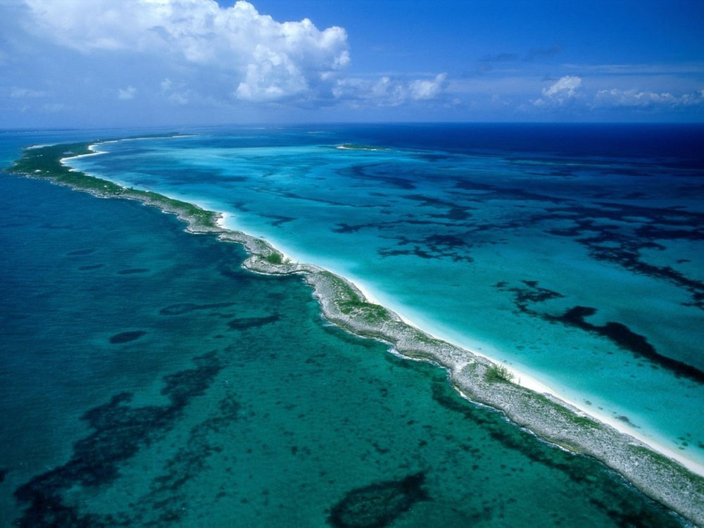 Nota sobre Arrecifes de coral en el mundo, disfruta de la belleza marina