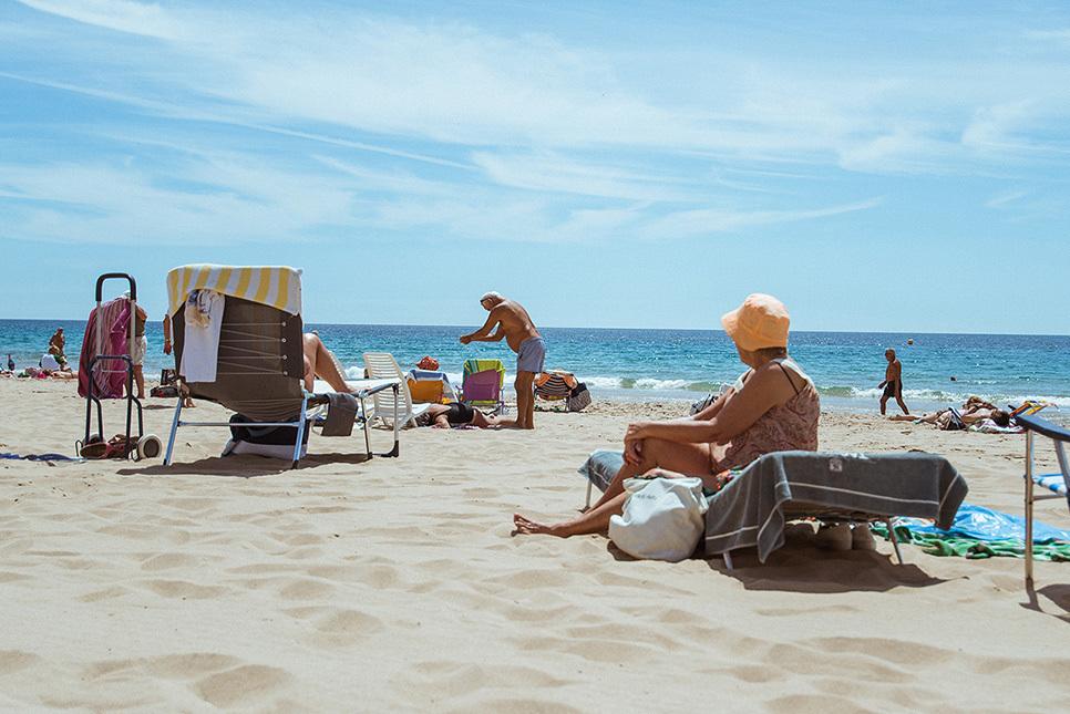 Nota sobre Vacacionar en verano con la mascota