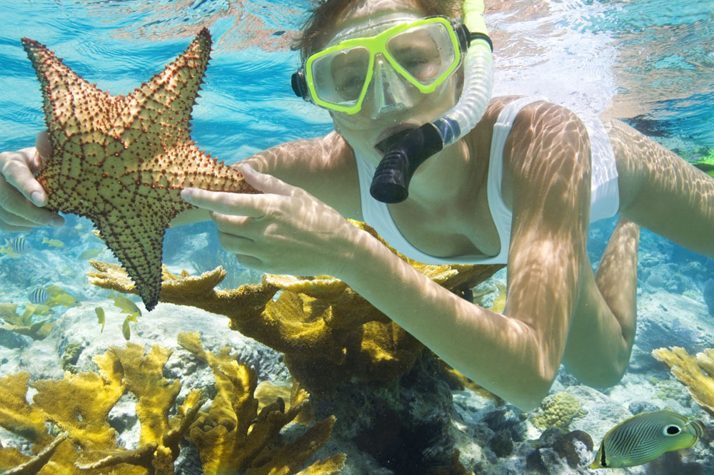 Nota sobre Consejos para principiantes en el buceo en las vacaciones de verano