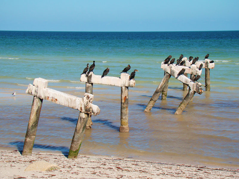 Imagen de Telchac Puerto