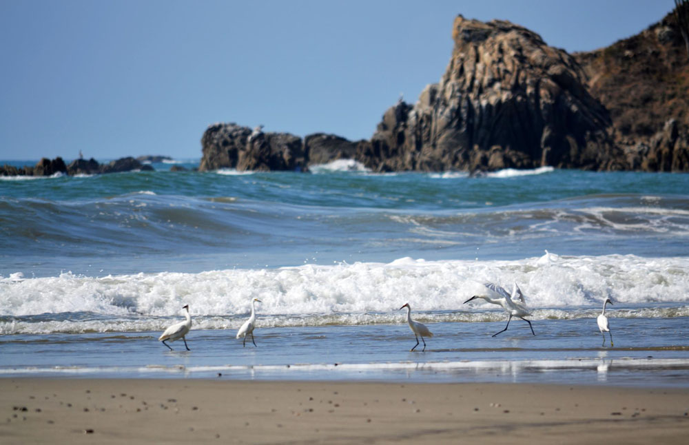 Imagen de Bahía de Cacaluta