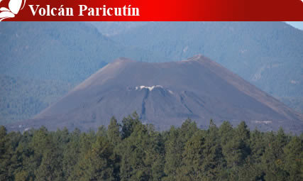 Nota sobre Volcán Paricutín, Michoacán