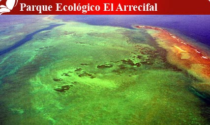 Nota sobre Parque ecológico El Arrecifal, Veracruz