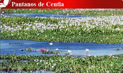 Nota sobre Pantanos de Centla, Tabasco