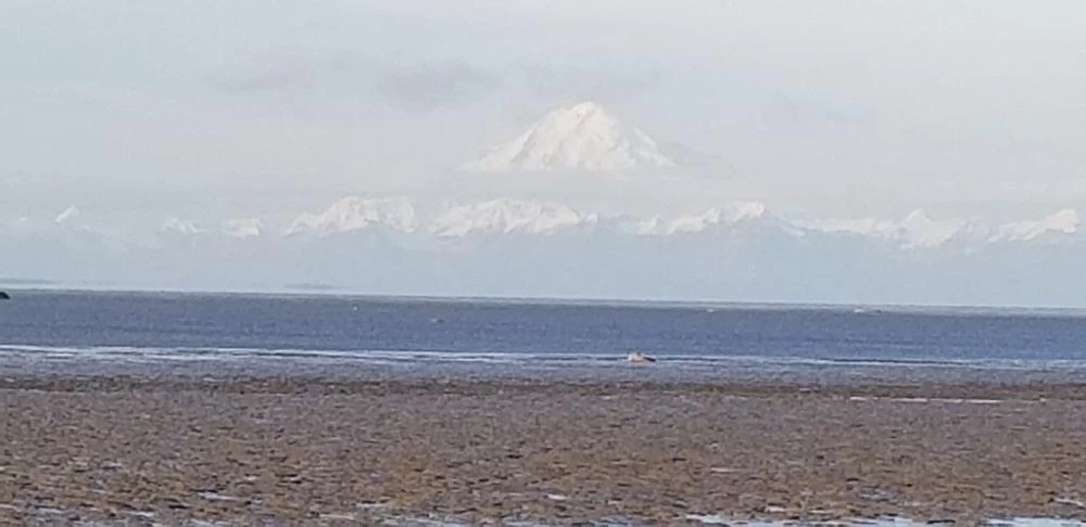 Imagen de Kenai Beach (Kenai)