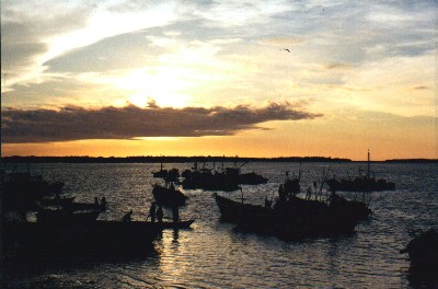 Imagen de Playas de Tumbes