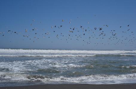 Imagen de Playas de Mejía