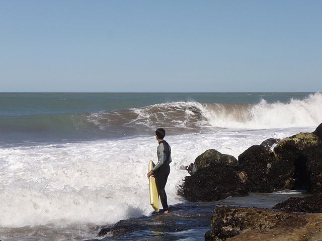 Nota sobre La paradisiaca Isla del Coco en Costa Rica