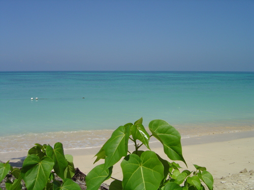 Imagen de Playa Ocho Ríos