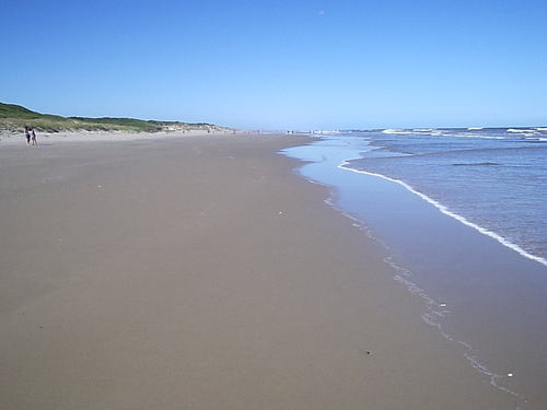 Imagen de Playas de José Ignacio