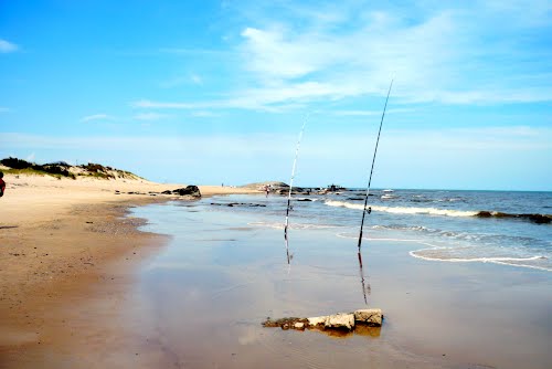 Imagen de Playas de Montevideo