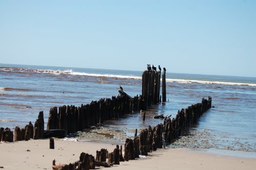 Imagen de Playas de Maldonado