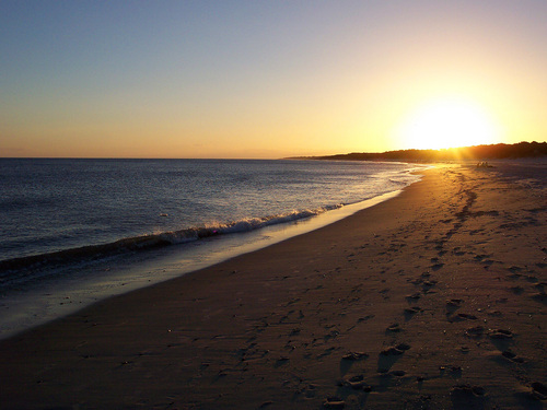 Imagen de Playas de La Pedrera