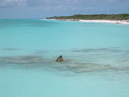 Imagen de Cayo de Agua