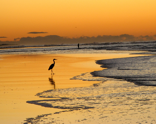 Nota sobre El Cuco, la mejor playa de El Salvador