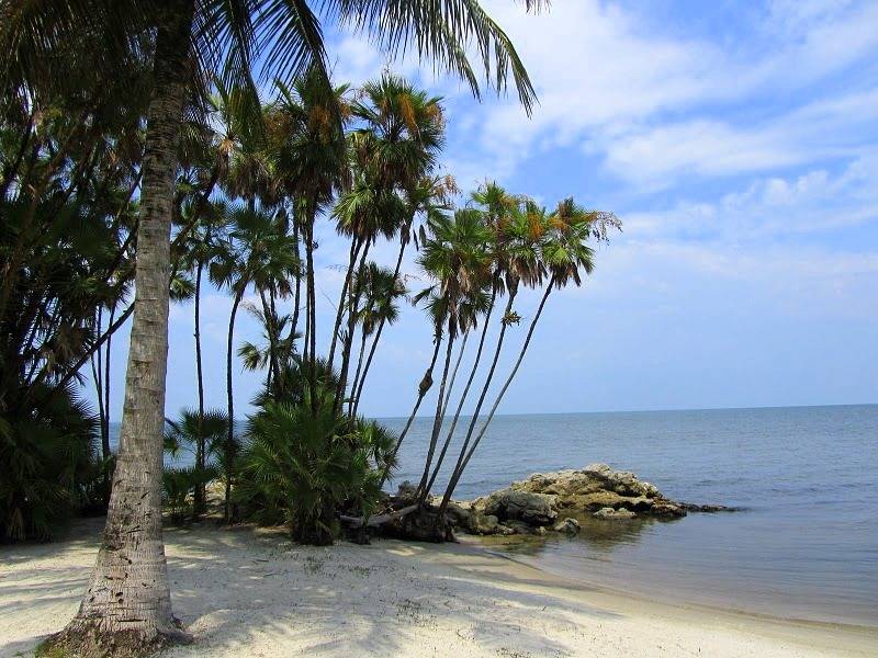 Nota sobre Playa Turneffe, hechizante playa de Belice