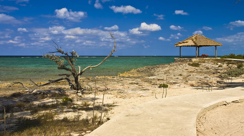 Imagen de Castaway Cay