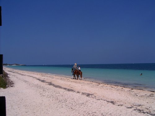 Imagen de Playas de Ciego de Ávila