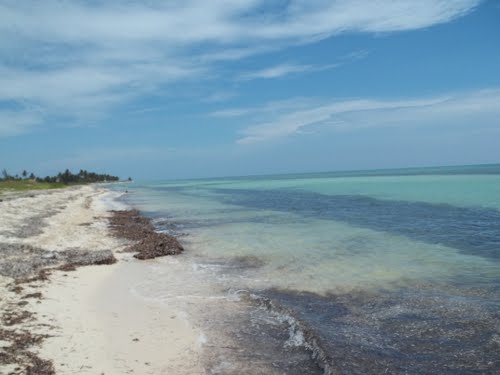 Imagen de Cayo Blanco