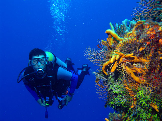 Nota sobre Deportes acu&aacute;ticos en la Riviera Maya