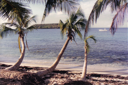 Imagen de Playa Boquerón