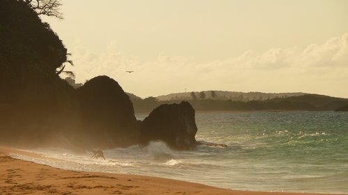 Imagen de Arashi Beach