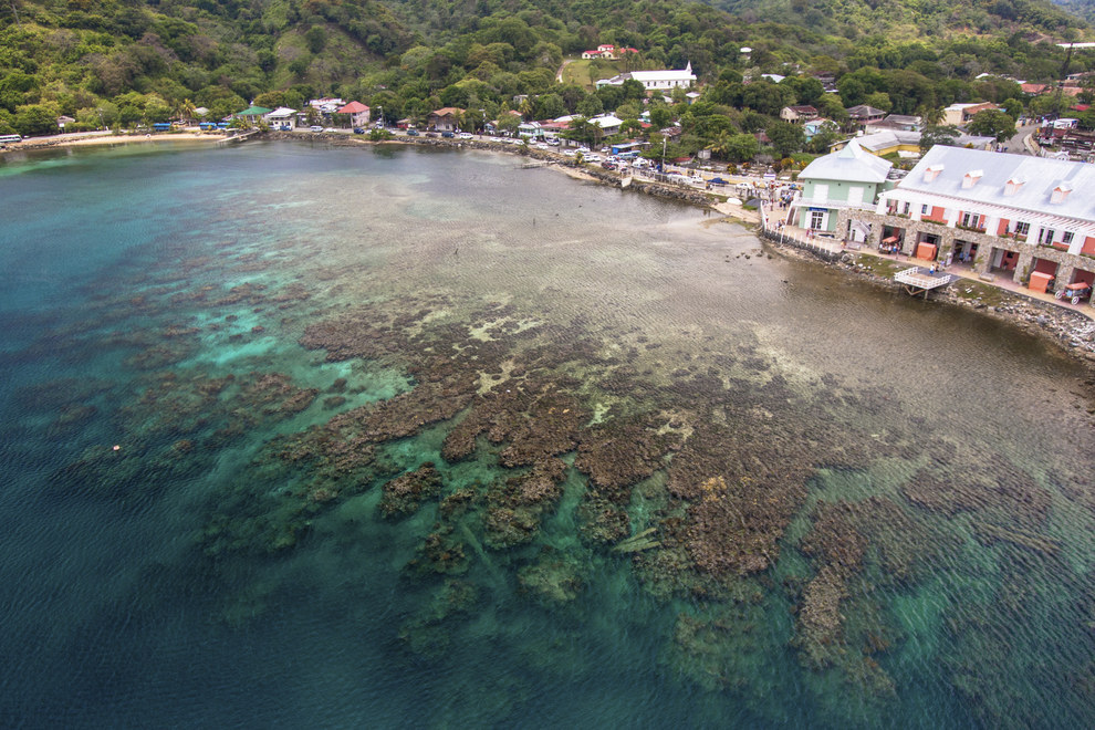 Imagen de Playa de Guanaja