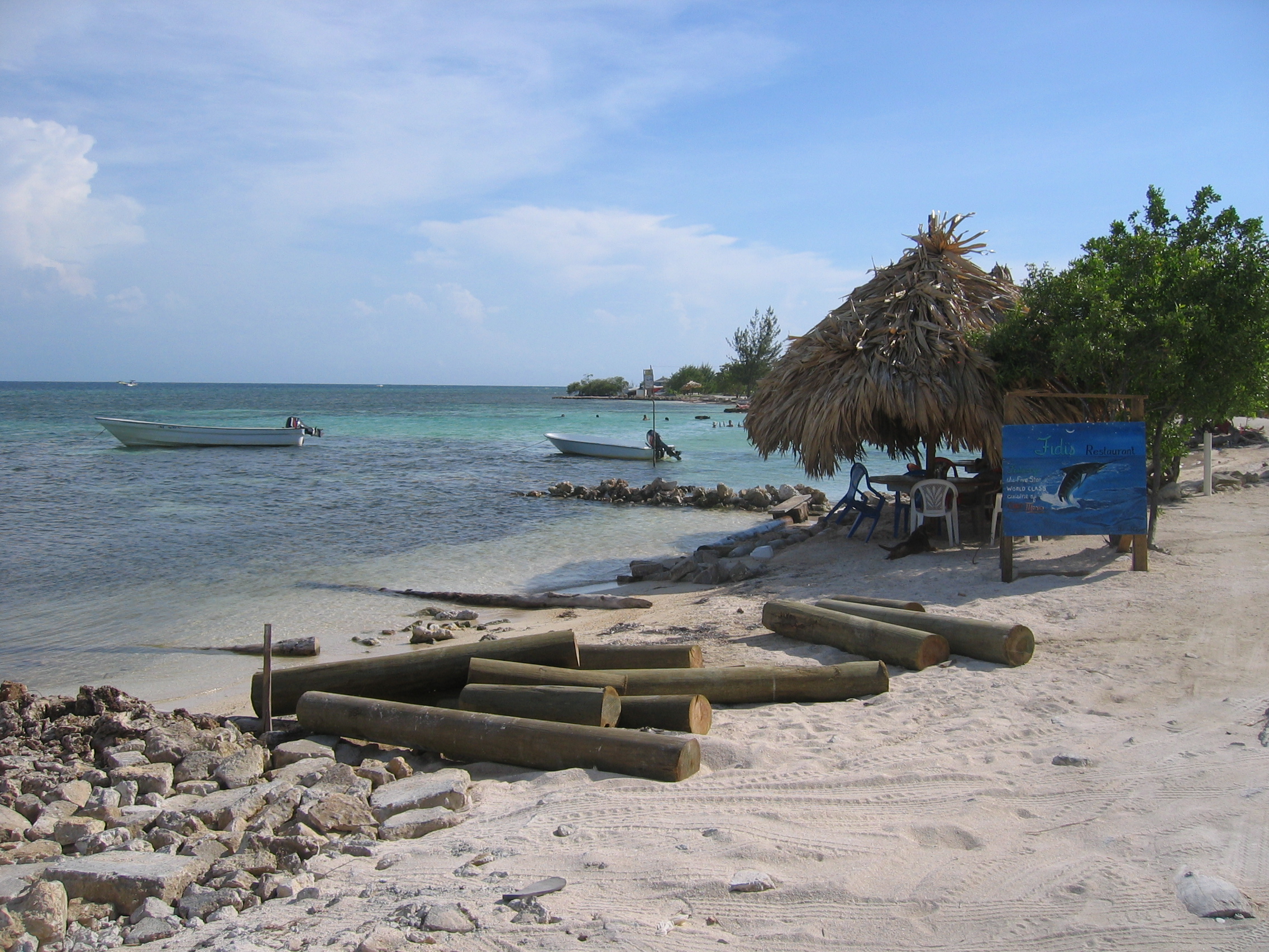 Imagen de Playa de Guanaja