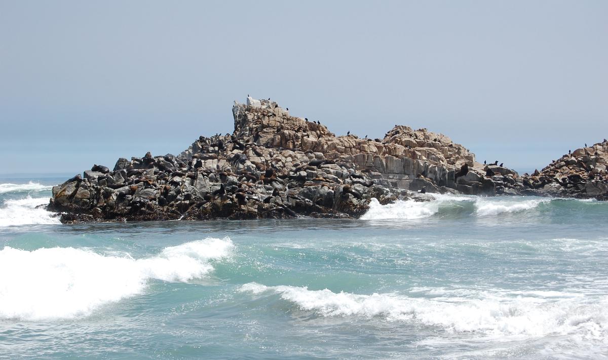 Imagen de Iquique