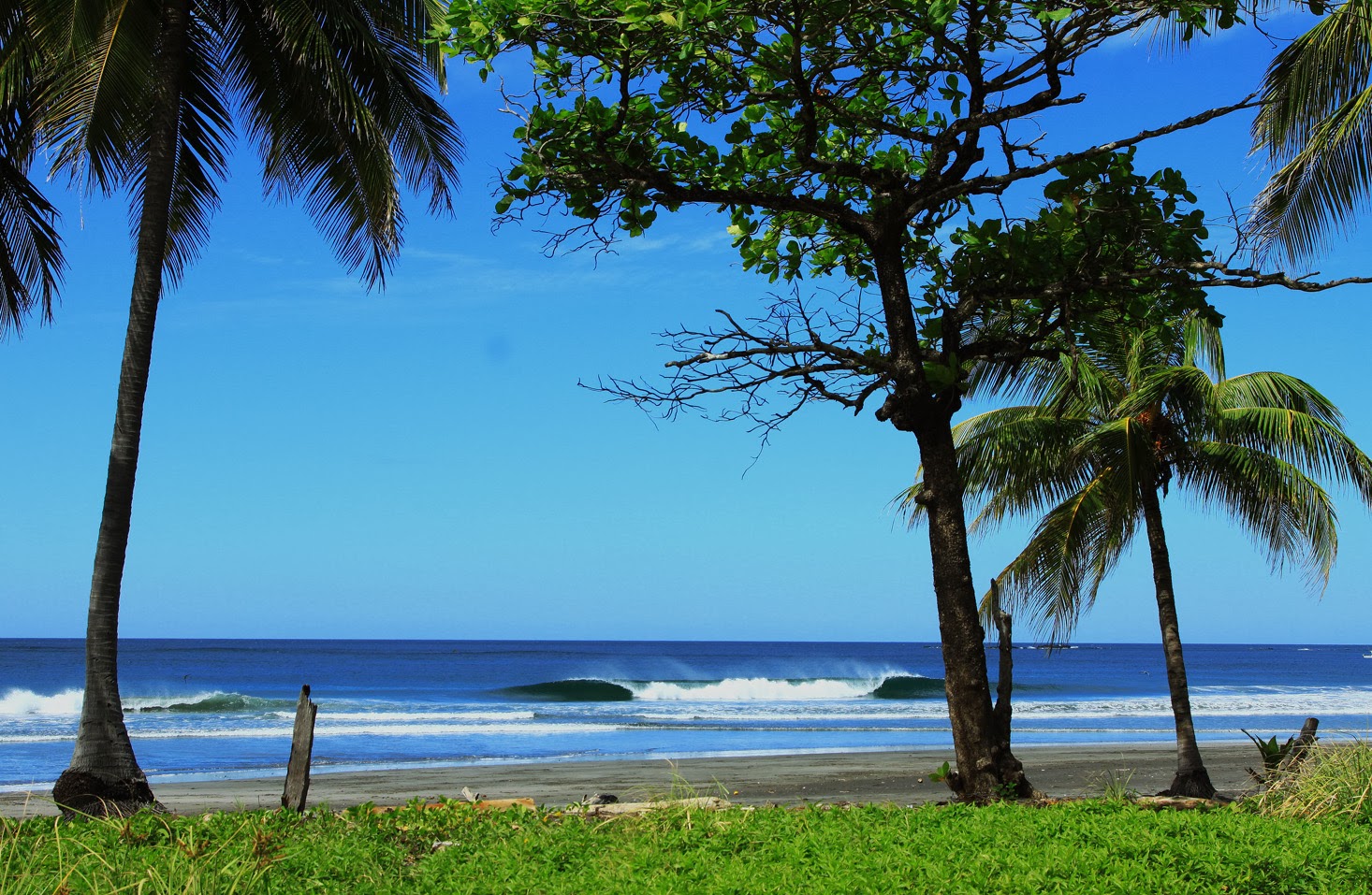 Imagen de Playa Carrillo