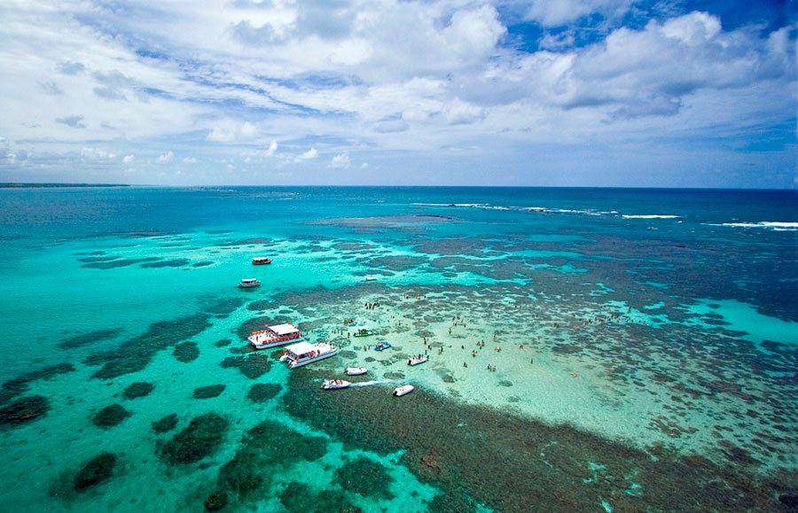 Nota sobre Alagoas, el primer ed&eacute;n de Brasil