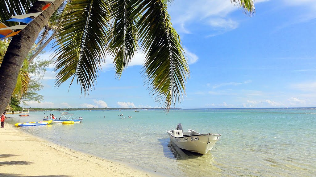 Nota sobre Las mejores playas de Hait&iacute;