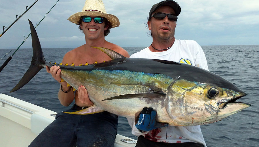 Nota sobre Panam&aacute;, el para&iacute;so de los peces