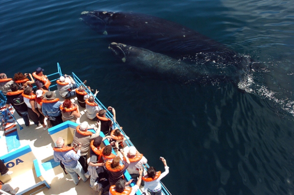 Imagen de Las grutas y puerto Madryn