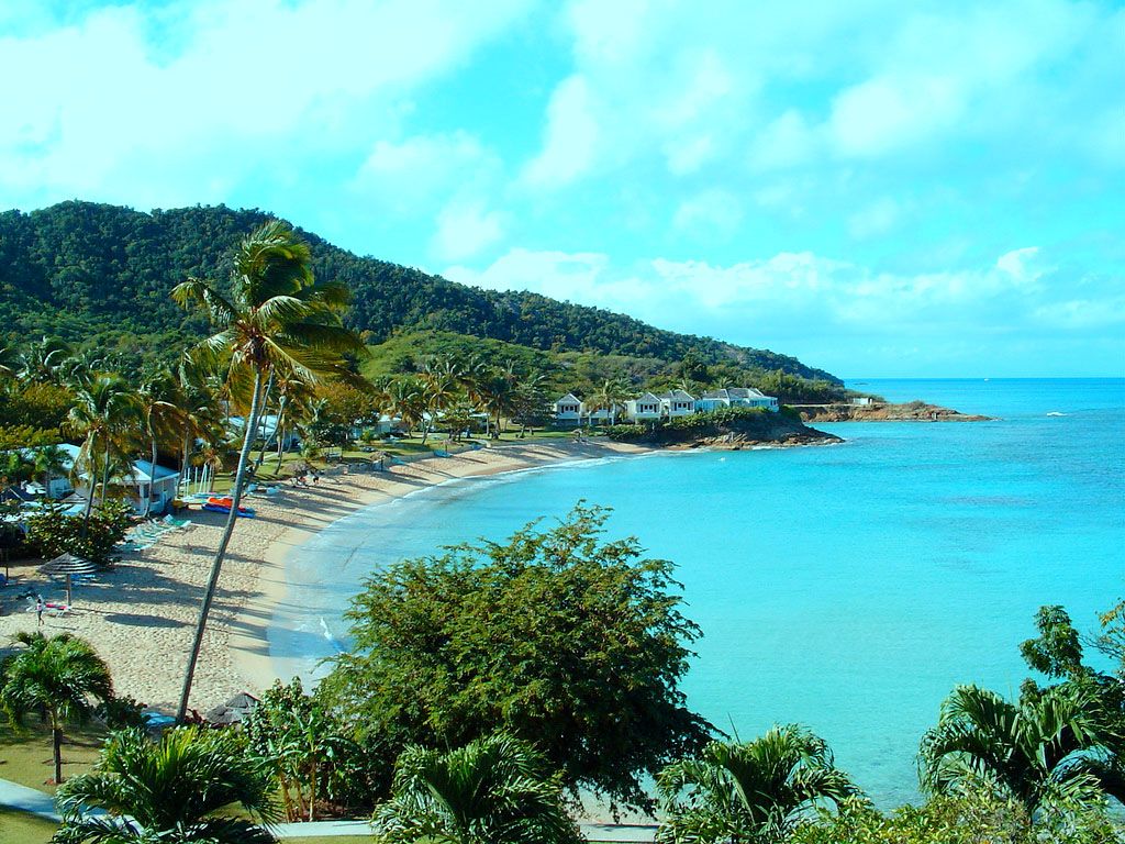 Imagen de Barbuda