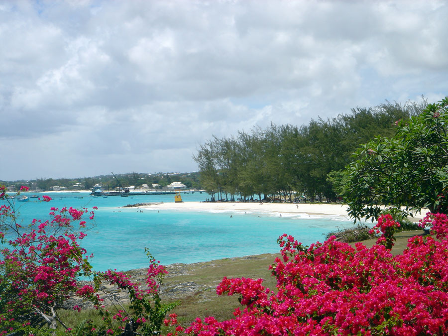 Imagen de Isla de Barbados