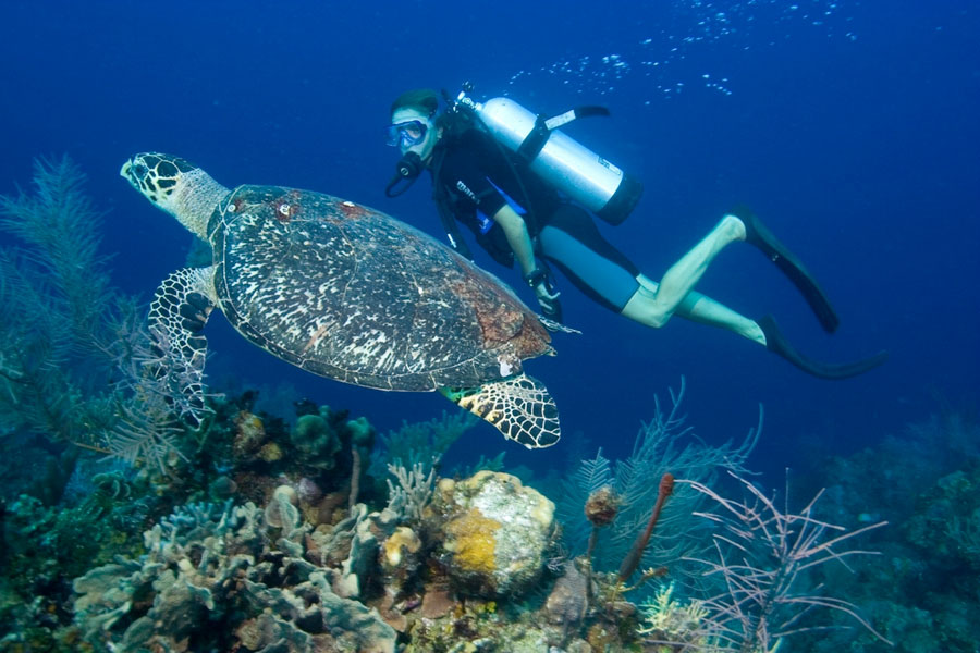 Imagen de Ciudad de Belice