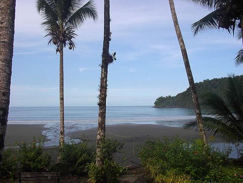 Imagen de Playa Nuquí