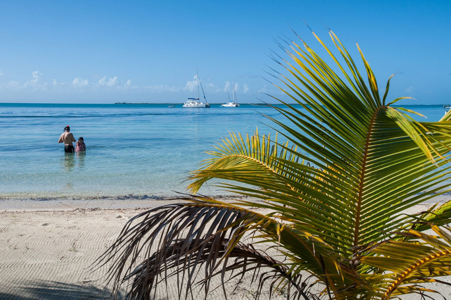 Imagen de Dangriga & Hopkins