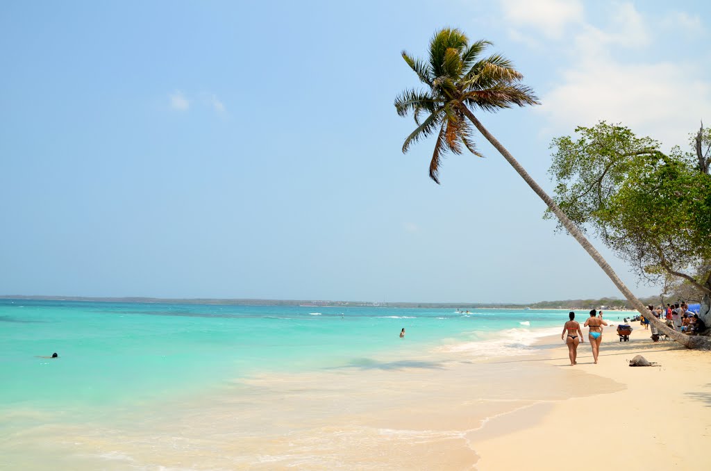 Nota sobre Isla Bar&uacute;, territorio coral Colombia